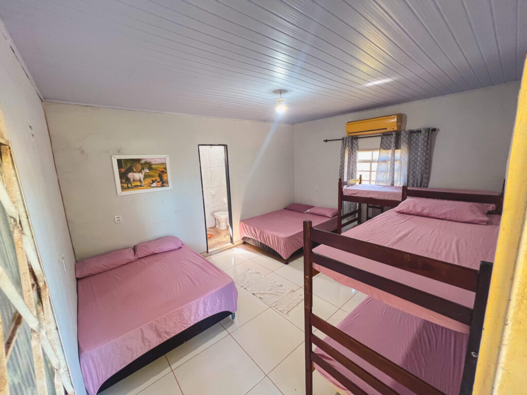 Ninho do Tuiuiu00001